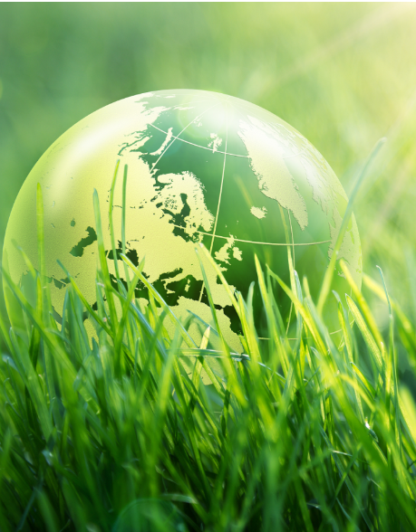 CA88����(�й���) - Ψһ�ٷ���վ